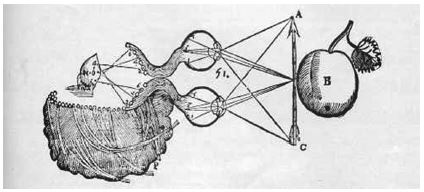 Ilustración de El Tratado del Hombre (1667), realizada por Gerard van Gutschoven (1615-1668), a propósito del artículo 65 “Sobre las figuras de los objetos que se trazan en la superficie interior del cerebro”.
